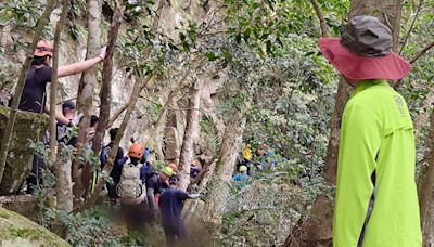 男三峽登山失聯四天 今淸肺農場附近找到….愛犬護屍