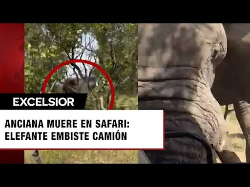 Niña y su padre hallan fósiles de un gigantesco reptil marino en playa de Inglaterra