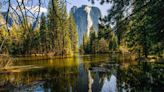 Ultra-runner near the end of a 50-mile excursion attacked by a bear in Yosemite Valley