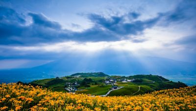 【賞花之旅】花蓮金針花季8/10登場，赤科山、六十石山金黃綻放美景！