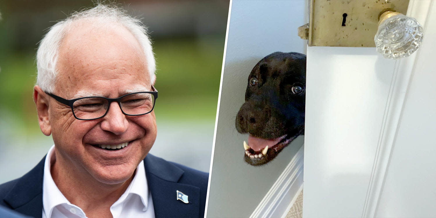 Remember the time Tim Walz's dog locked himself in the bedroom? We do