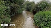 Chichester: Council agrees funding for river restoration projects