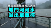 颱風吹襲兼遇潮漲 城門河河水溢出淹浸單車徑