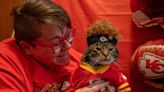 MVP Patrick meet MVC Catrick. Social media’s Sly James the Cat as most valuable cat Catrick Mahomes