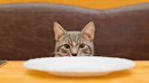 Can Cats Eat Bacon? Vets Reveal Which Brunch Foods Your Kitty Can Enjoy