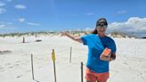 Sea turtles nests in Escambia hit hard by storm surge. FWC wouldn't let them be moved.