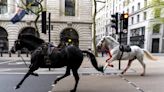 News Networks Descend On Central London As Bloody Horses Run Wild Through The Streets