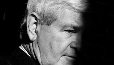 Newt Gingrich perfectly describes how everything is his fault