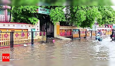 Heavy Rain Brings Smiles to Paddy Farmers in Kashi | Varanasi News - Times of India