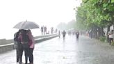 Mumbai Rains Update: Traffic Police Identify Slow-Moving Routes Amid Heavy Rain; Check List To Avoid Delays