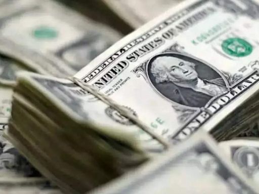 India's forex reserves jump to a new record high of $670.86 bn as on July 19