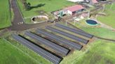 Colun y Flux Solar de Copec colaboran para la instalación de una serie de plantas solares - La Tercera