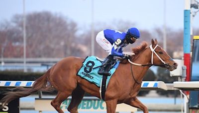 Gotham Stakes (G3): Morello