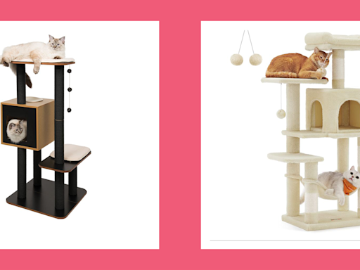 The 10 Best Cat Trees to Keep Your Indoor Kitty Healthy and Happy