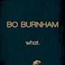 Bo Burnham: what.