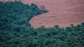 Desmatamento anual cai 51,1% na Amazônia e aumenta 14,6% no Cerrado