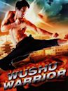 Wushu Warrior