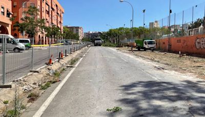 El Ayuntamiento de Alicante sigue talando árboles en la Plaza de San Blas