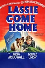 Torna a casa, Lassie!