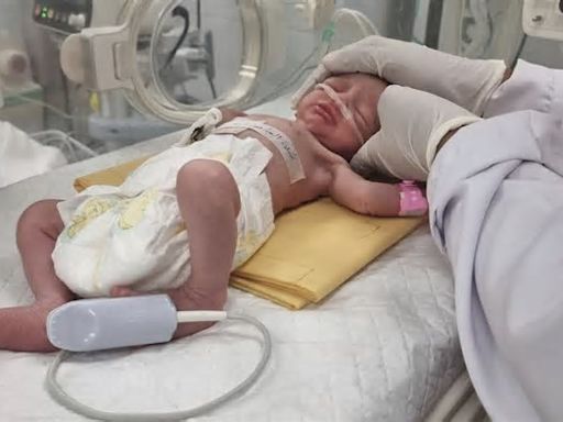 Premature baby girl rescued from her dead mother’s womb dies in Gaza after 5 days in an incubator