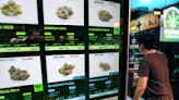 Cannabis rollback drives a wedge into Thailand's ruling coalition
