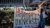 Pro-Palestinian protesters on college campuses have plenty of political support