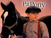 Pit Pony