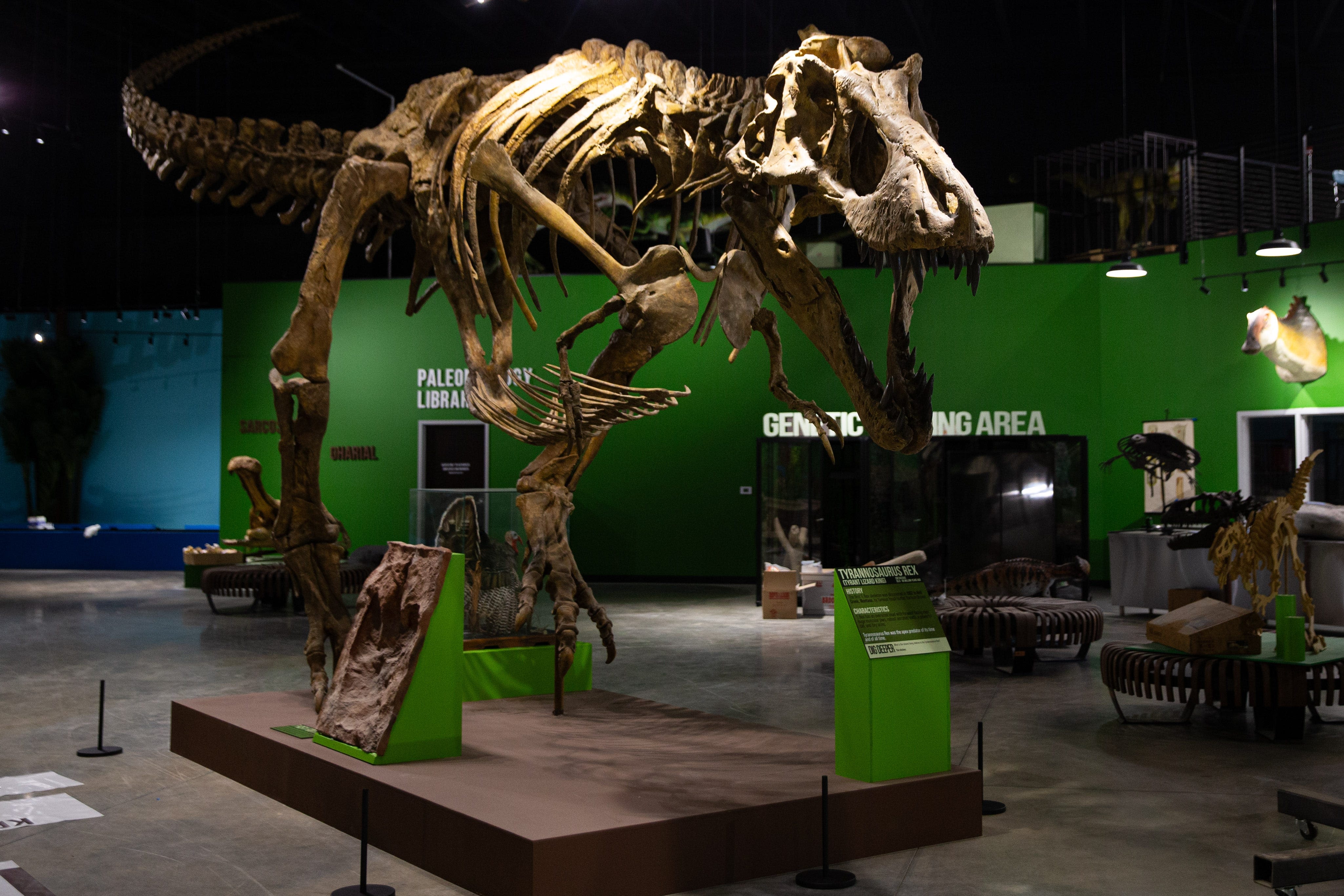 There's a new dinosaur museum within 90 minutes of Holland