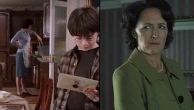 Harry Potter fans are just realising what Aunt Petunia is doing in kitchen scene