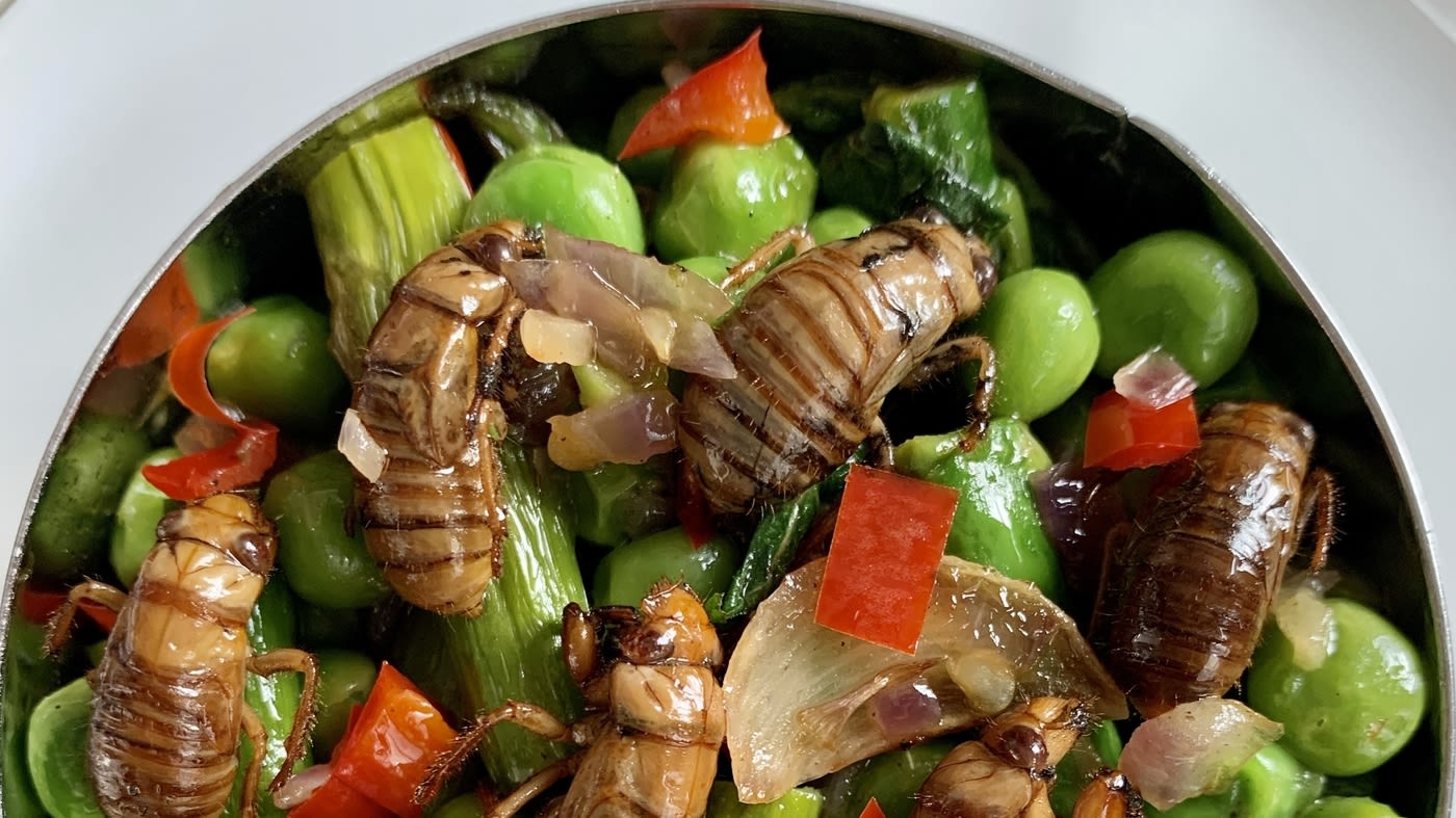 Cicadas are back on the menu. One chef shares his dish ideas — and an easy recipe