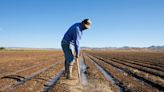 Colorado lucha contra la sequía y los especuladores del agua