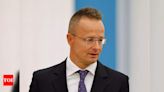 Hungary says meeting with German foreign minister cancelled for technical reasons - Times of India