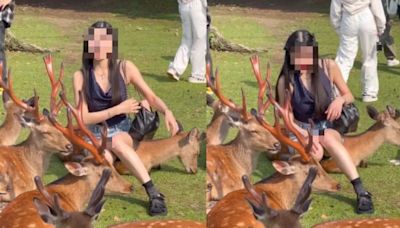 日本奈良公園女遊客拍照惹議！奈良鹿無奈神情曝光