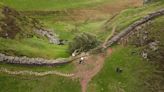 Sycamore Gap: Iconic tree seen lying next to Hadrian’s Wall after being ‘felled by vandals’