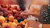 New farmers market in Lexington to kick off Saturday - WBBJ TV