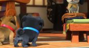 13. Sumo Pups; The Search for the Golden Ball