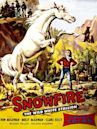 Snowfire