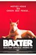 Baxter (film)