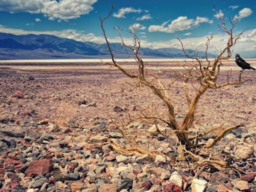 ¡No sólo México! Costa Rica enfrentará 'apagones' por sequía y 'El Niño'