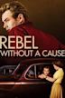 Rebel Without a Cause