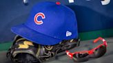 Source: Cubs DFA Gomes, signing catcher Nido