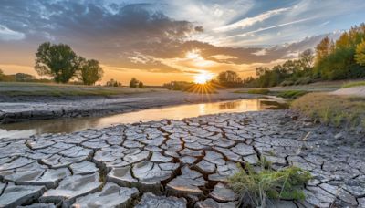 Anticipan, sequía durante todo el verano en Carolina del Norte - La Noticia