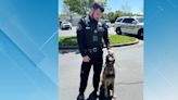 Franklin County deputy and K-9 locate missing woman