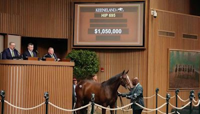 Exceptional Trade, Healthy Gains Highlight Day 3 Of Keeneland September Yearling Sale