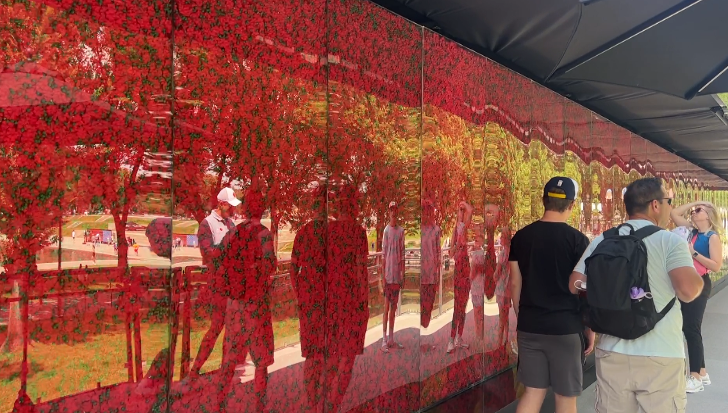 Poppy Wall of Honor on display on National Mall for Memorial Day Weekend