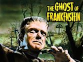 Il terrore di Frankenstein