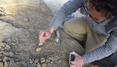 La II Guerra Púnica emerge tras unas excavaciones arqueológicas en Bailén