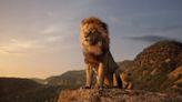 The Lion King Prequel Director Barry Jenkins Says Film Will Have 'Really Wonderful Musical Numbers'