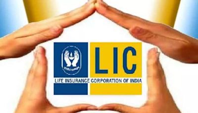 LIC's residual stake value surges in top groups on stock market boom