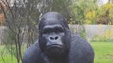 Man is charged after gorilla statue was allegedly stolen